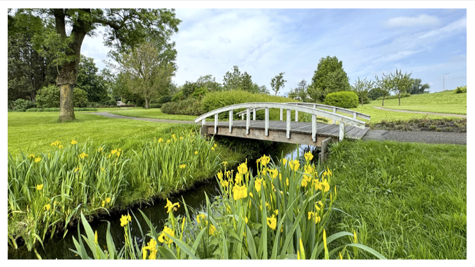 Seringenpark bruggetje