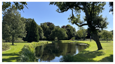 zomers beeld van het meertje in het seringenpark