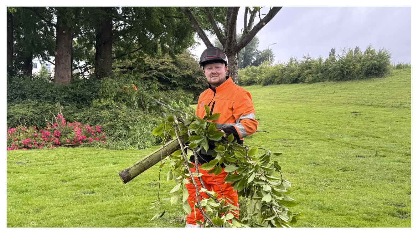 Amstelveense bomen snoeier