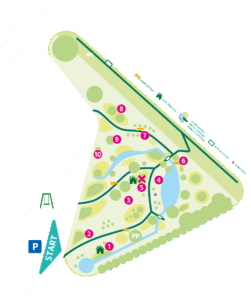 kaartje van het seringenpark met nummers van stops en de plaats van de schat