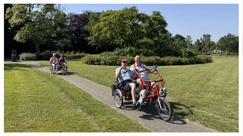 Zomer in het park