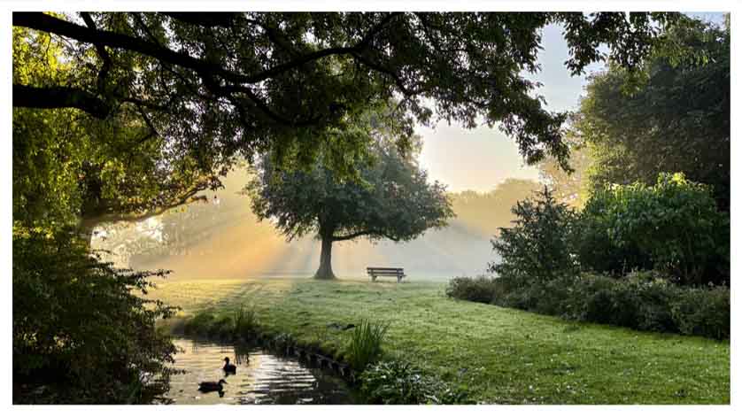 Herfst, ochtend in het seringenpark, de zachte zonnestralen verlichten de mist.