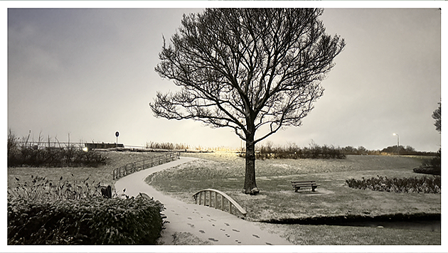 Besneuwde dijk langs het seringen park. met een krachtig silhouet van de takken van een boom