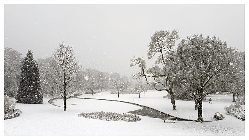 Dik pak sneeuw in het Seringenpark