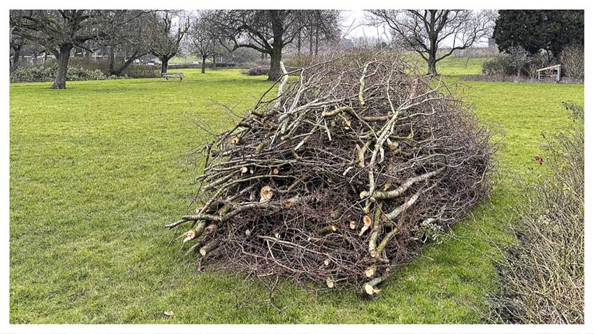 Keurig gestapelde bos takken op het gras