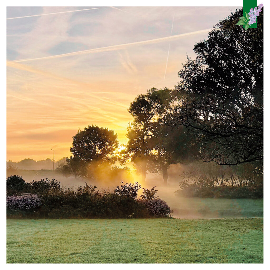 Het Seringenpark hult zich in een mysterieuze waas, terwijl de zon langzaam door de mist breekt.
