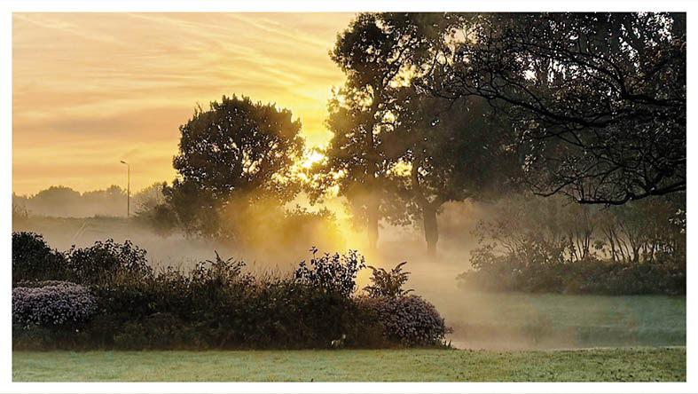 Herfst 2026
